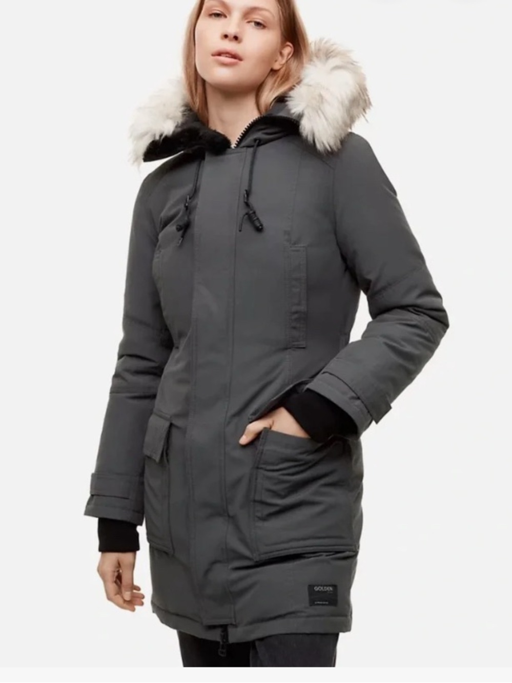 Aritzia TNA Bancroft Parka in Gray